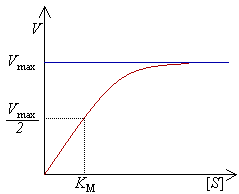 Ecuación de Michaelis-Menten