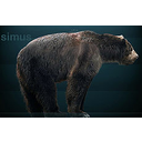 Muestra Imagen 4. Megafauna: oso de cara corta