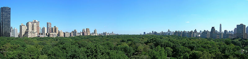Central Park in summer.