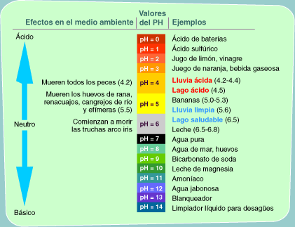 tabla ilustrativa con ejemplos de la escala del pH