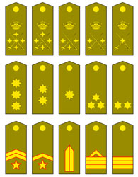 Insignias militares