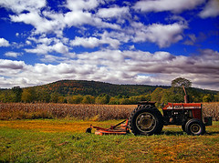 Campo de maíz, tractor y nubes amenazantes