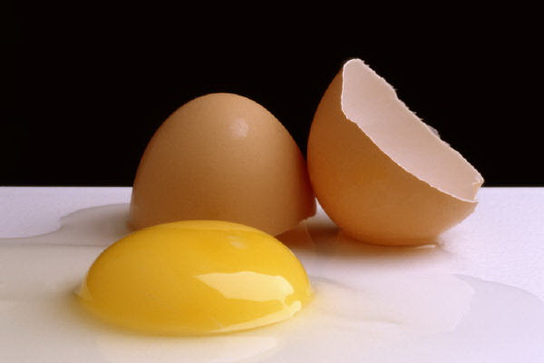 La cáscara del huevo es un material frágil.