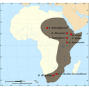 Muestra Imagen Mapa fósiles Australopithecus y Paranthropus