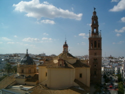 Giraldilla de Carmona (Sevilla)