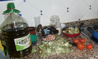Ingredientes para cocinar; aceite, ajo, tomate,...