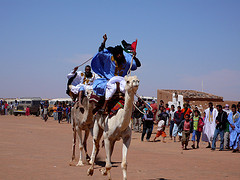 Carrera de Camellos en el Sahara